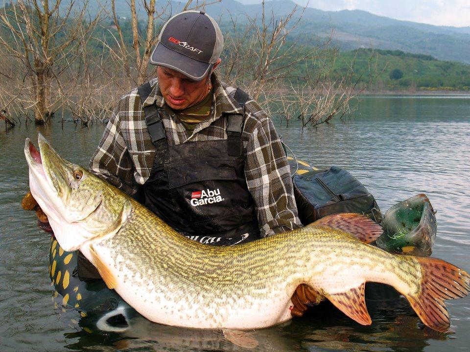 diverse - 390806_338109016217147_2028451148_n[1].jpg